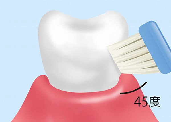 歯磨き（ブラッシング）指導